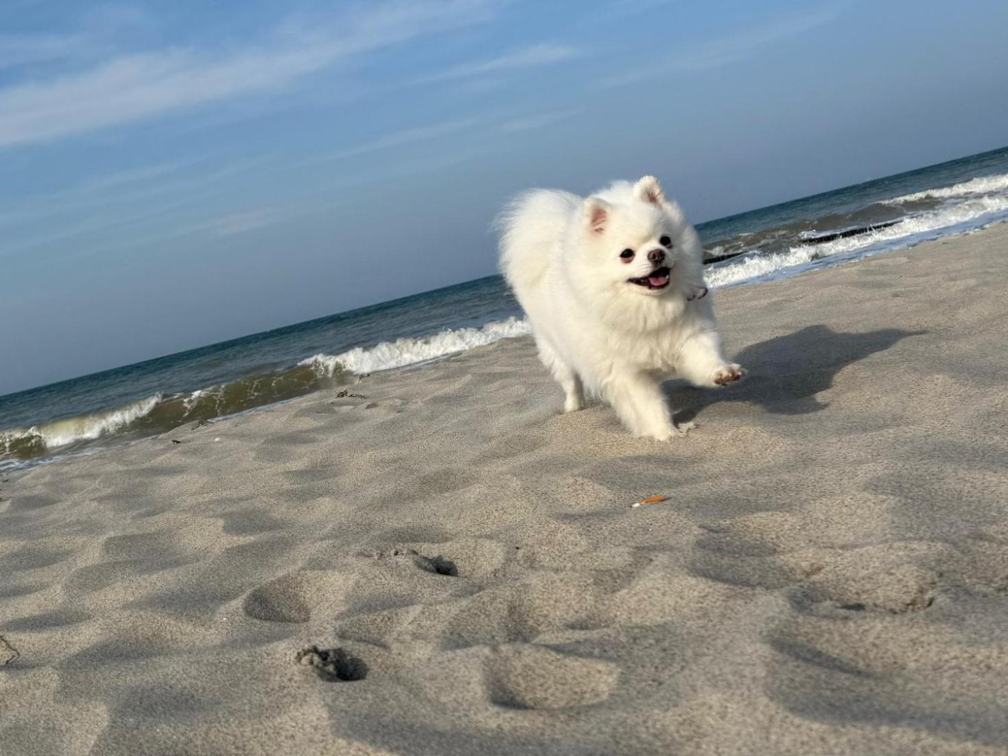 Pension Ostsee-Strand Börgerende-Rethwisch エクステリア 写真